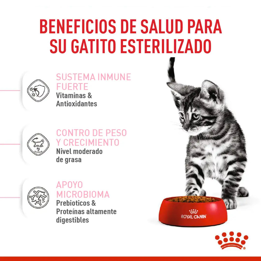 Alimento Royal Canin Fhn Kitten Esterilizado