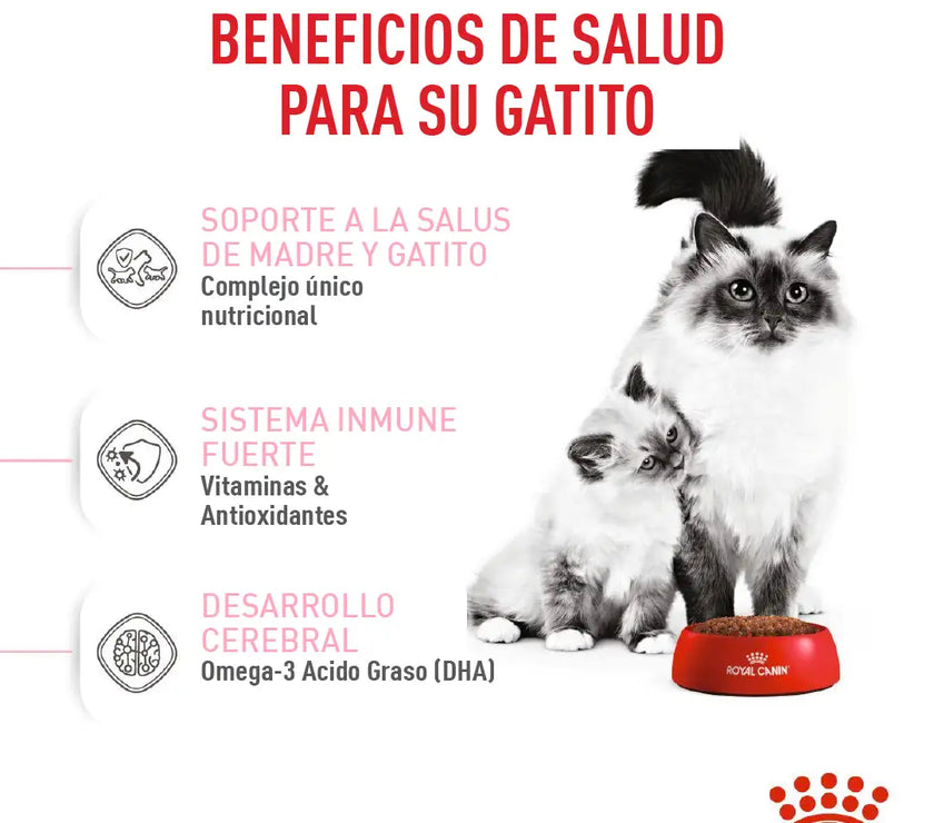Alimento Royal Canin Fhn Mother&Babycat
