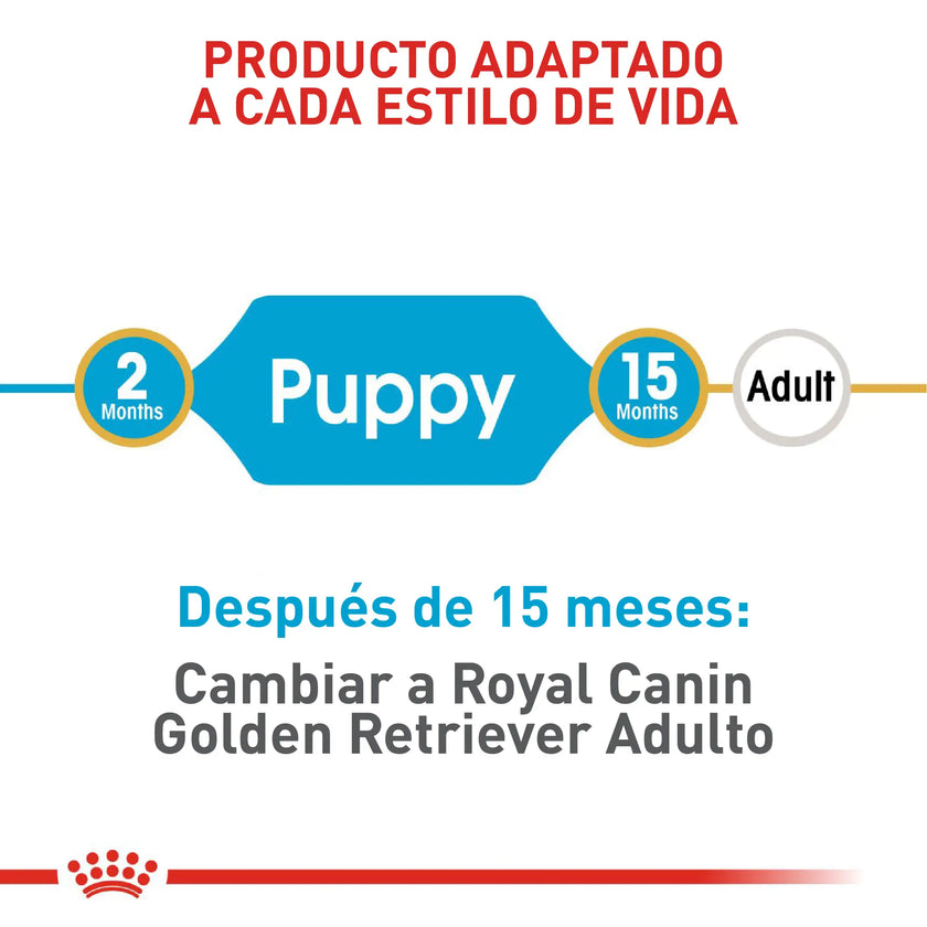 Alimento Royal Canin Bhn Golden Retriever Puppy