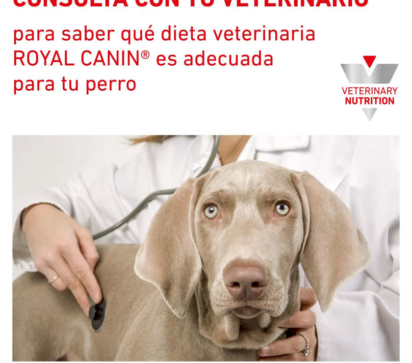 Alimento Royal Canin Vhn Urinary S/O Canino Small Dog 4 Kg