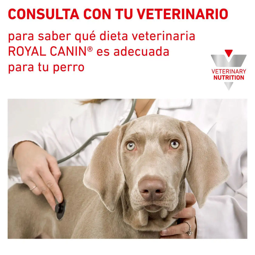 Alimento Royal Canin Vhn Urinary S/O Canino Small Dog 4 Kg