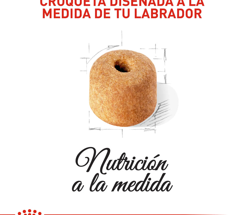 Alimento Royal Canin Bhn Labrador Adulto 13.6 Kg