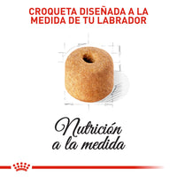 Alimento Royal Canin Bhn Labrador Adulto 13.6 Kg
