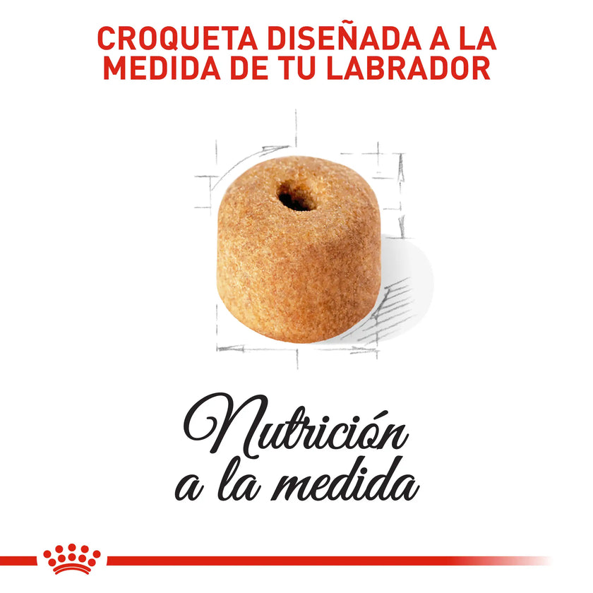 Alimento Royal Canin Bhn Labrador Adulto 13.6 Kg