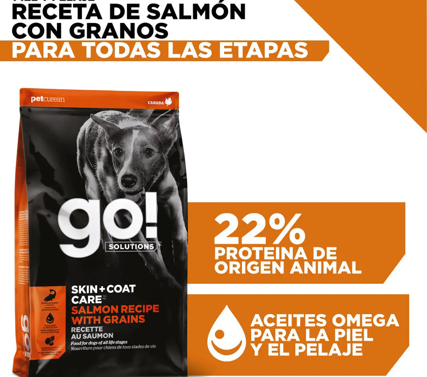Go! Skin + coat care salmon recipe with grains for dogs