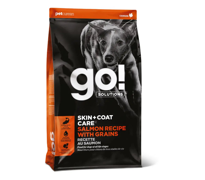 Go! Skin + coat care salmon recipe with grains for dogs