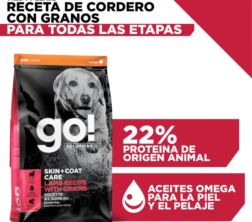 Go! Skin + Coat care lamb recipe with grains for dogs