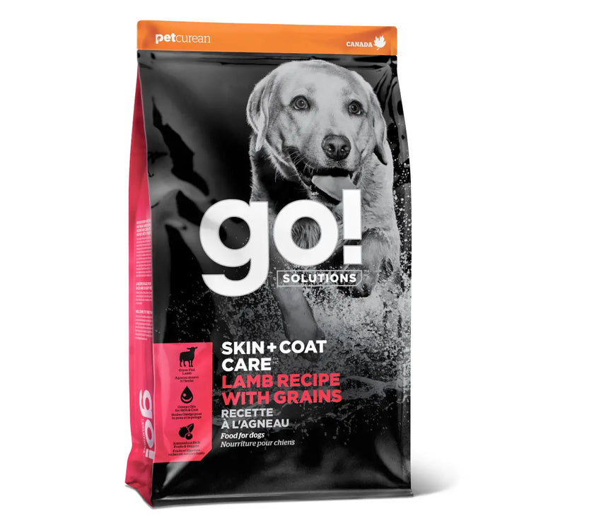 Go! Skin + Coat care lamb recipe with grains for dogs