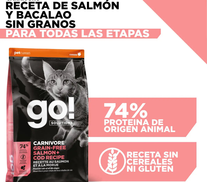 Go! Skin + coat care grain free salmon recipe for cats