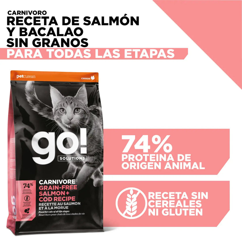 Go! Skin + coat care grain free salmon recipe for cats