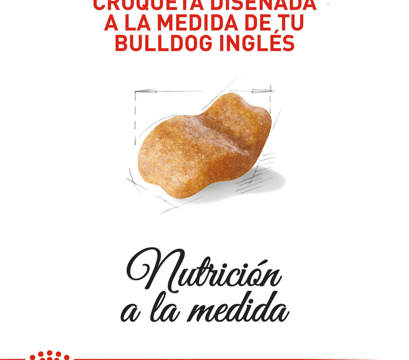 Alimento Royal Canin Bhn Bulldog Ingles Adulto