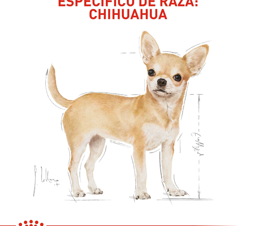 Alimento Royal Canin Bhn Chihuahua Adulto x 1.13 Kg
