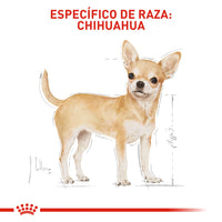 Alimento Royal Canin Bhn Chihuahua Adulto x 1.13 Kg