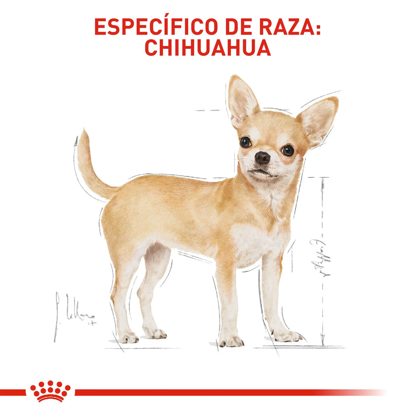 Alimento Royal Canin Bhn Chihuahua Adulto x 1.13 Kg
