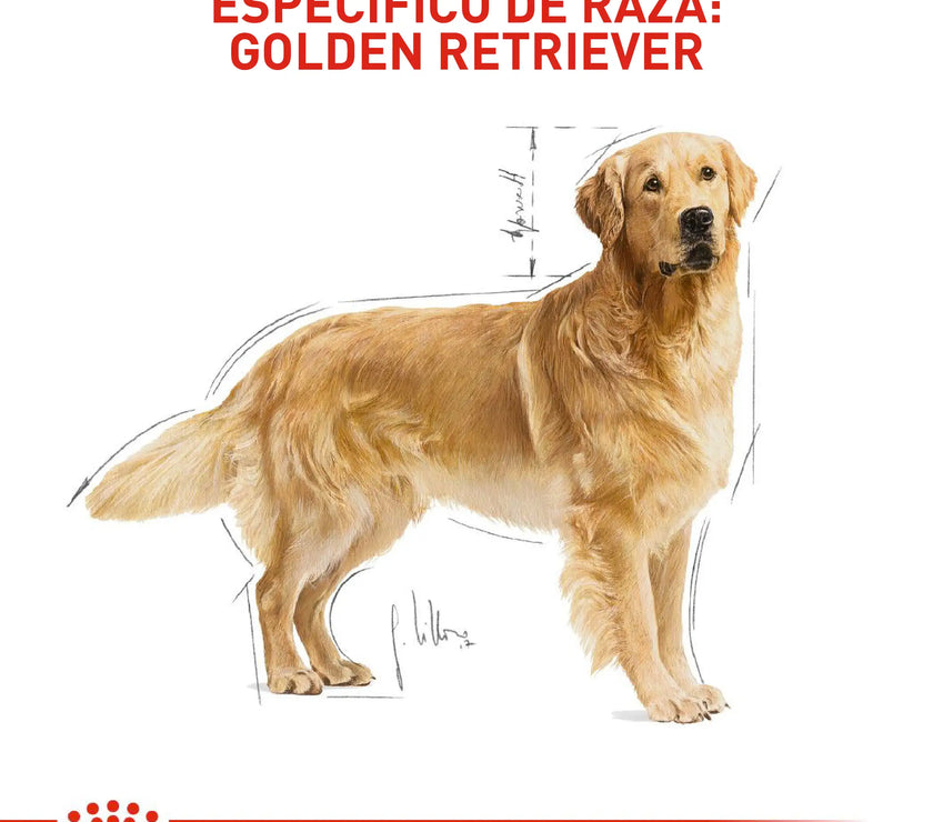 Alimento Royal Canin Bhn Golden Retriever Adulto x 13.6 Kg