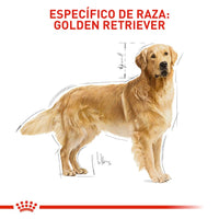 Alimento Royal Canin Bhn Golden Retriever Adulto x 13.6 Kg