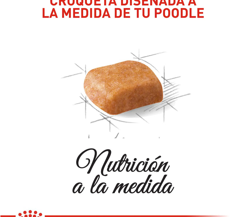 Alimento Royal Canin Bhn Poodle Puppy x 3 Kg