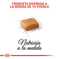 Alimento Royal Canin Bhn Poodle Puppy x 3 Kg