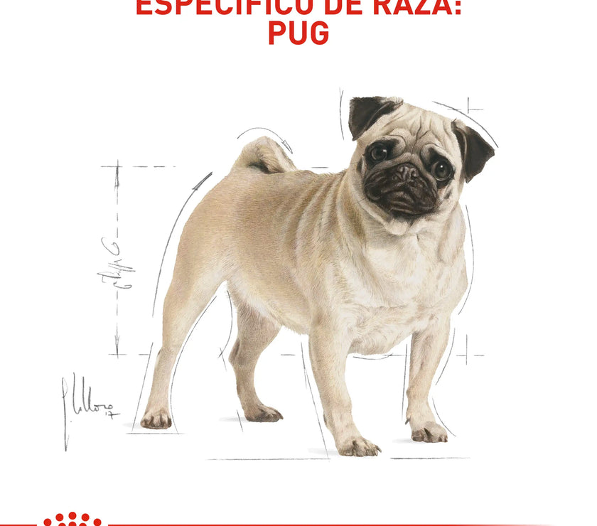 Alimento Royal Canin Bhn Pug Adulto x 3 Kg