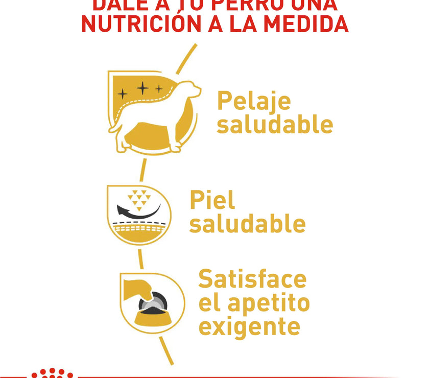 Alimento Royal Canin Bhn West Highland Terrier Adulto x 3 Kg