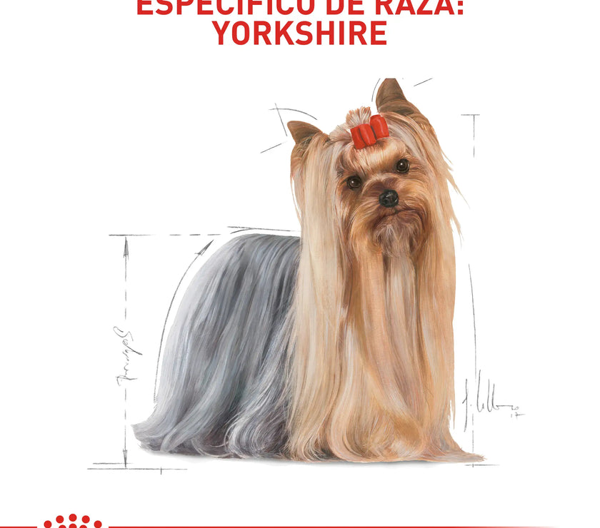 Alimento Royal Canin Bhn Yorkshire Adulto