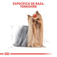 Alimento Royal Canin Bhn Yorkshire Adulto
