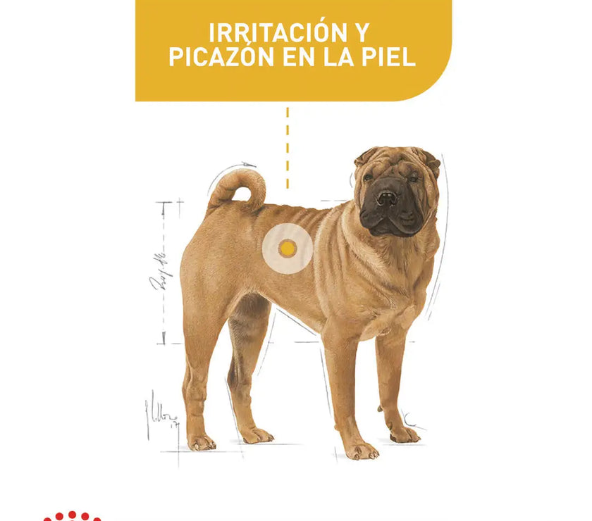 Alimento Royal Canin Ccn Medium Derma 3Kg