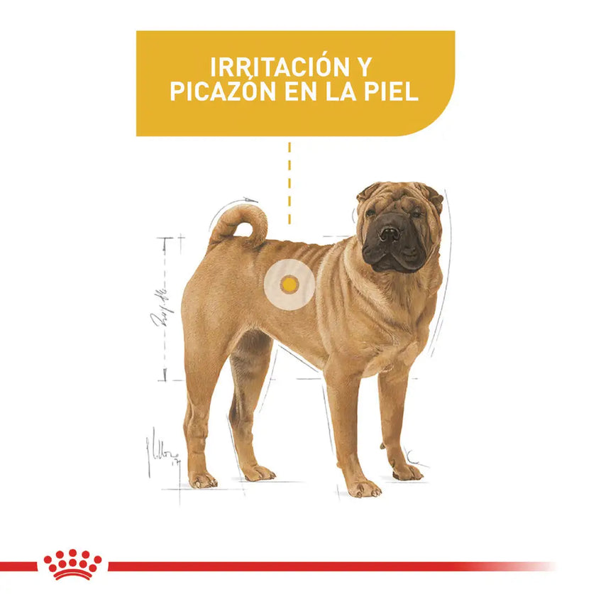 Alimento Royal Canin Ccn Medium Derma 3Kg