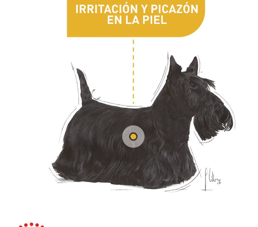 Alimento Royal Canin Ccn Mini Derma 3Kg