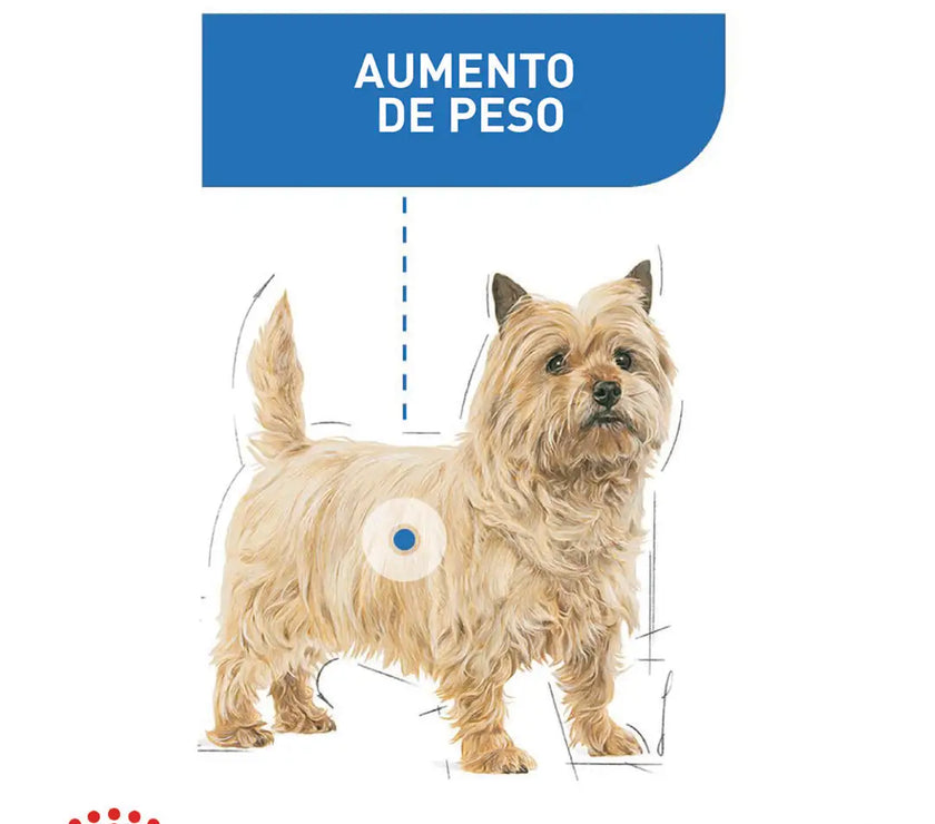Alimento Royal Canin Ccn Mini Light Weight Care 1Kg