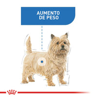 Alimento Royal Canin Ccn Mini Light Weight Care 1Kg