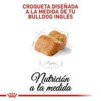 Alimento Royal Canin Bhn Bulldog Ingles Puppy