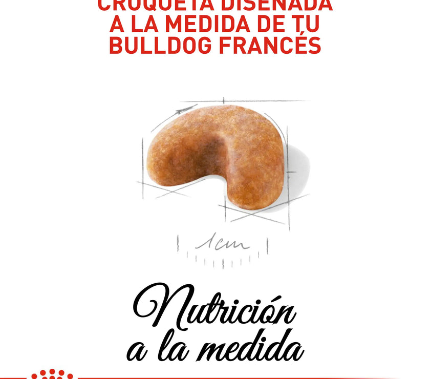 Alimento Royal Canin Bhn  Bulldog Frances Puppy