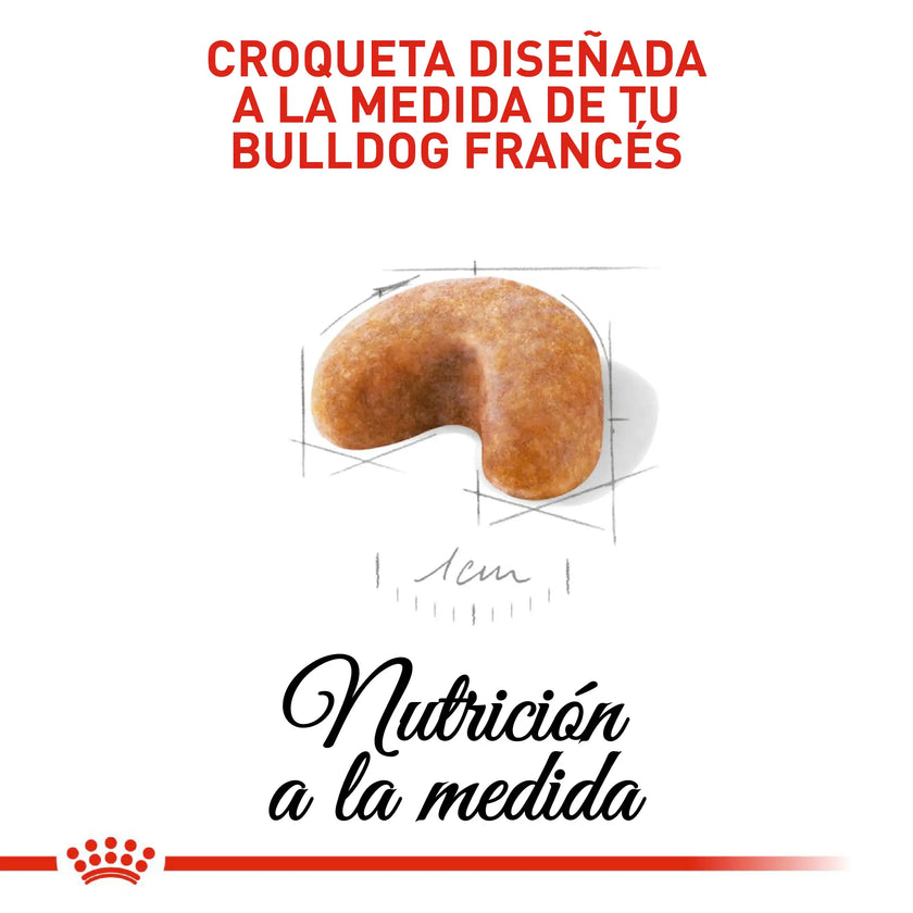 Alimento Royal Canin Bhn  Bulldog Frances Puppy