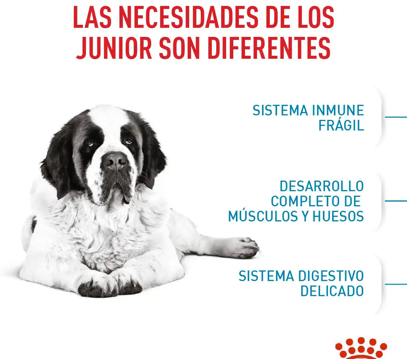 Alimento Royal Canin Shn Giant Adulto