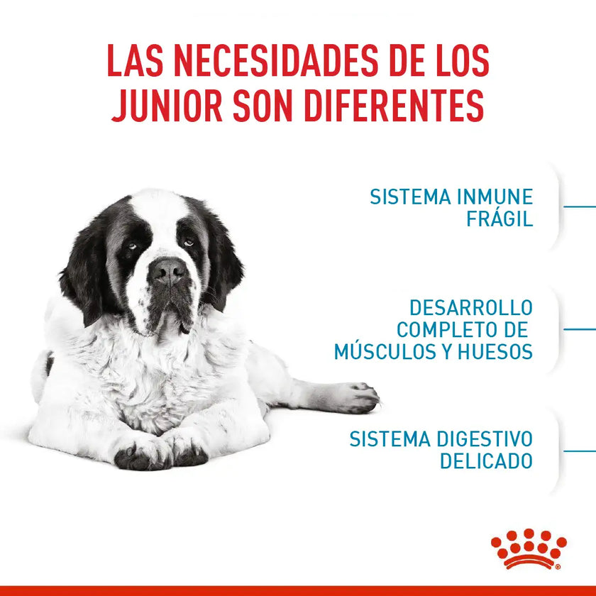 Alimento Royal Canin Shn Giant Adulto