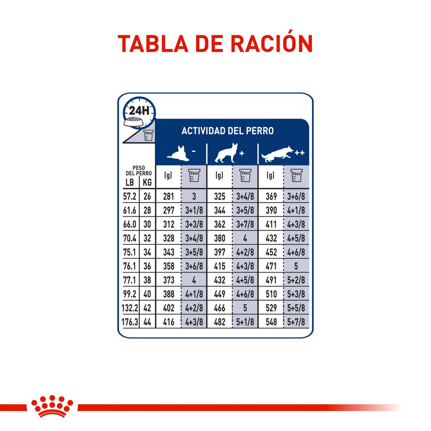 Alimento Royal Canin Shn Maxi Adulto  5+ 15Kg