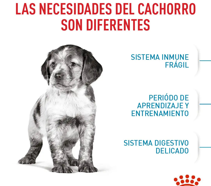 Alimento Royal Canin Shn Medium Puppy