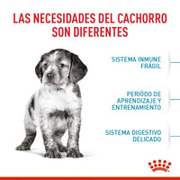 Alimento Royal Canin Shn Medium Puppy