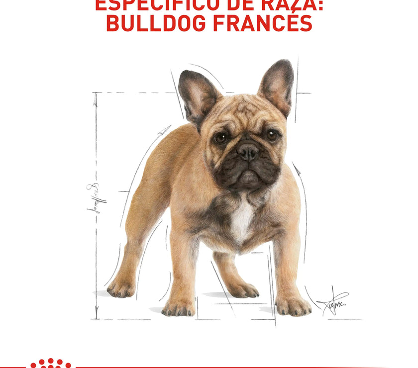 Royal Canin bulldog frances adulto x 9kg