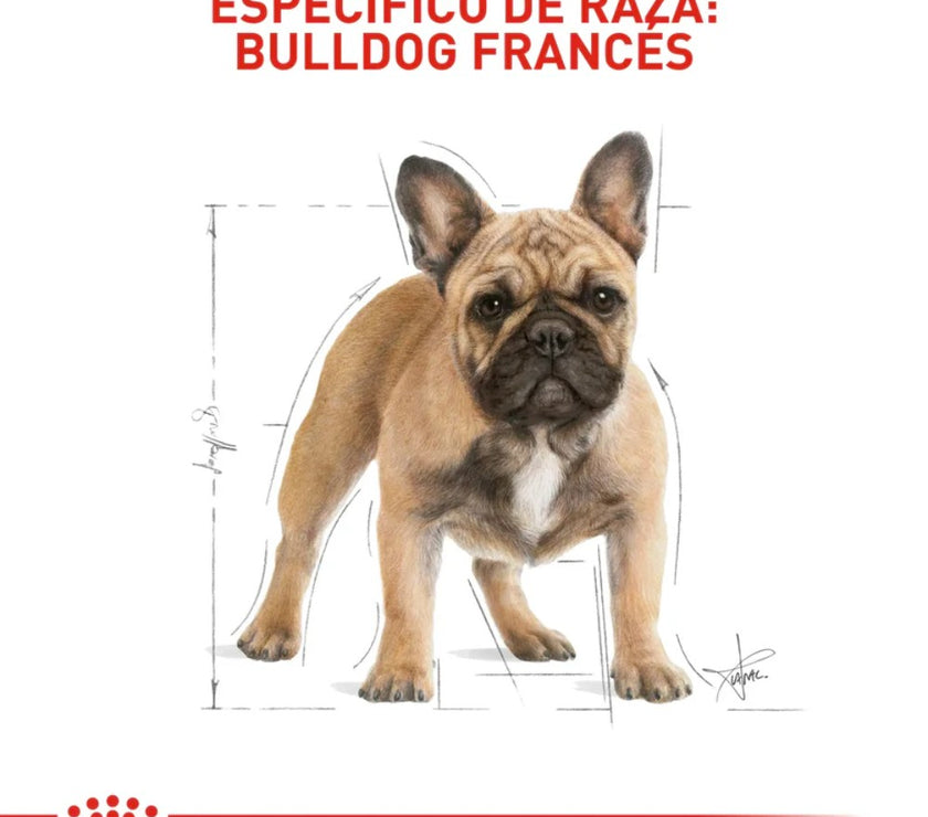 Alimento Royal Canin Bhn  Bulldog Frances Adulto x 3 Kg