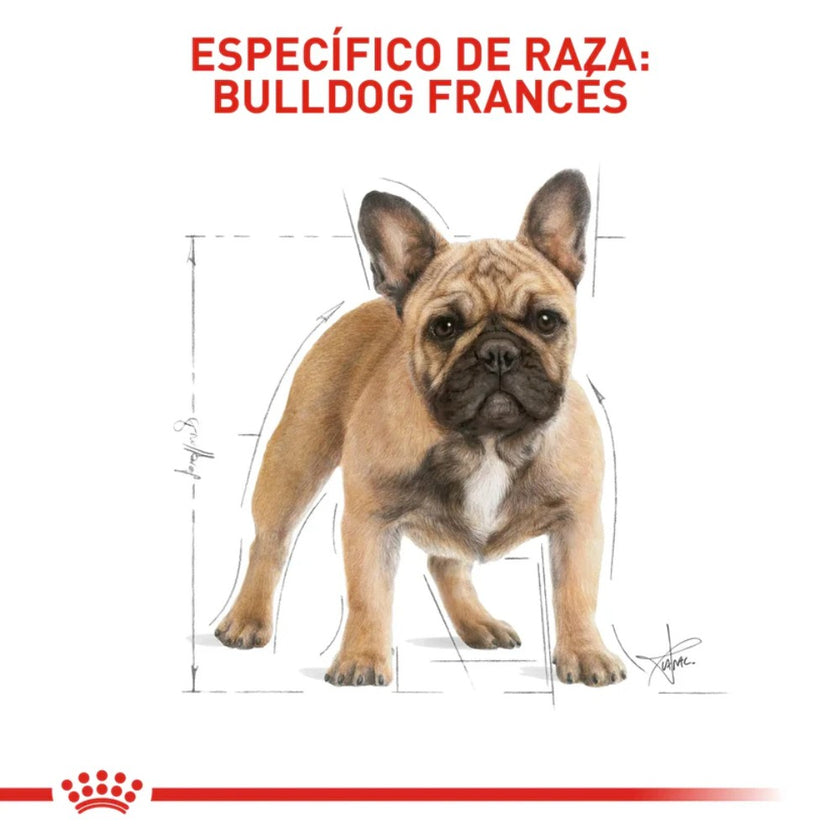 Alimento Royal Canin Bhn  Bulldog Frances Adulto x 3 Kg