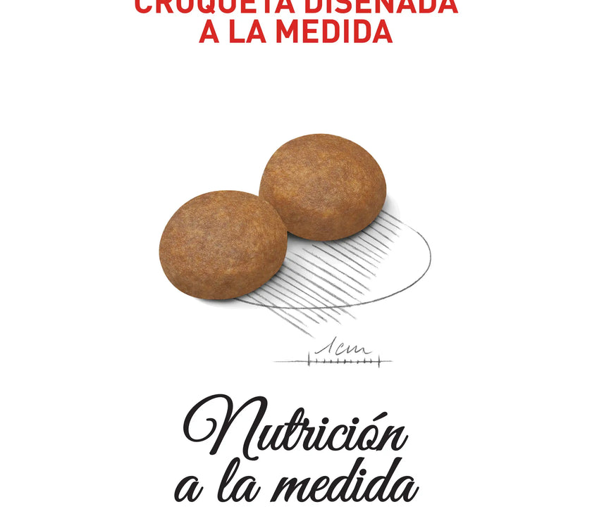 Alimento Royal Canin Shn Medium Adulto 7+ 4 Kg