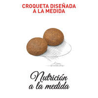 Alimento Royal Canin Shn Medium Adulto 7+ 4 Kg