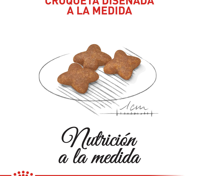 Alimento Royal Canin Shn Mini  Adulto