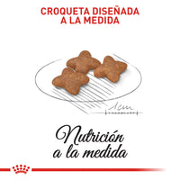 Alimento Royal Canin Shn Mini  Adulto