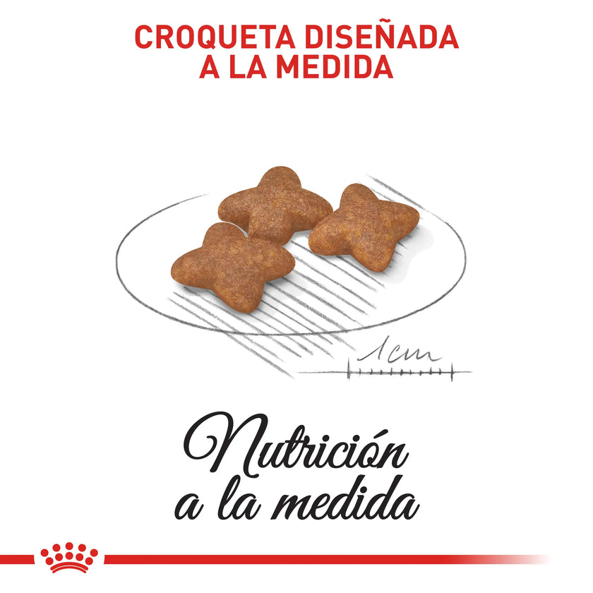 Alimento Royal Canin Shn Mini  Adulto