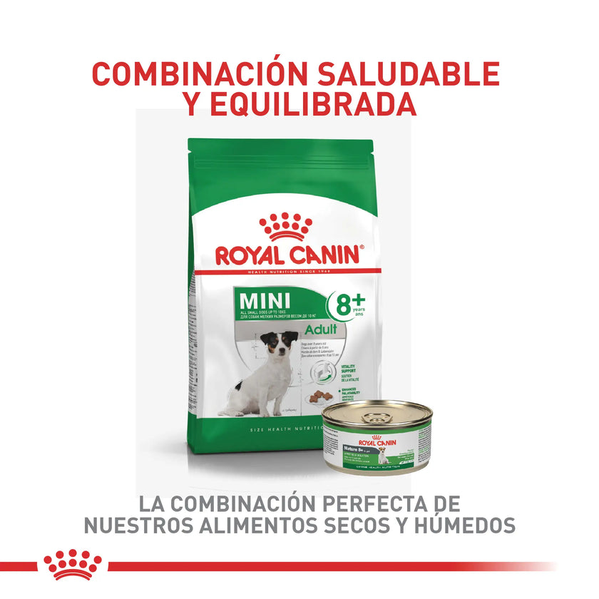 Alimento Royal Canin Shn Mini Mature 8+ 2Kg