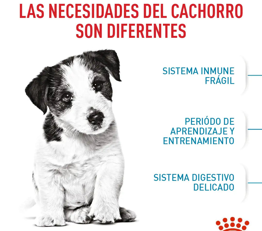 Alimento Royal Canin Shn Mini Puppy