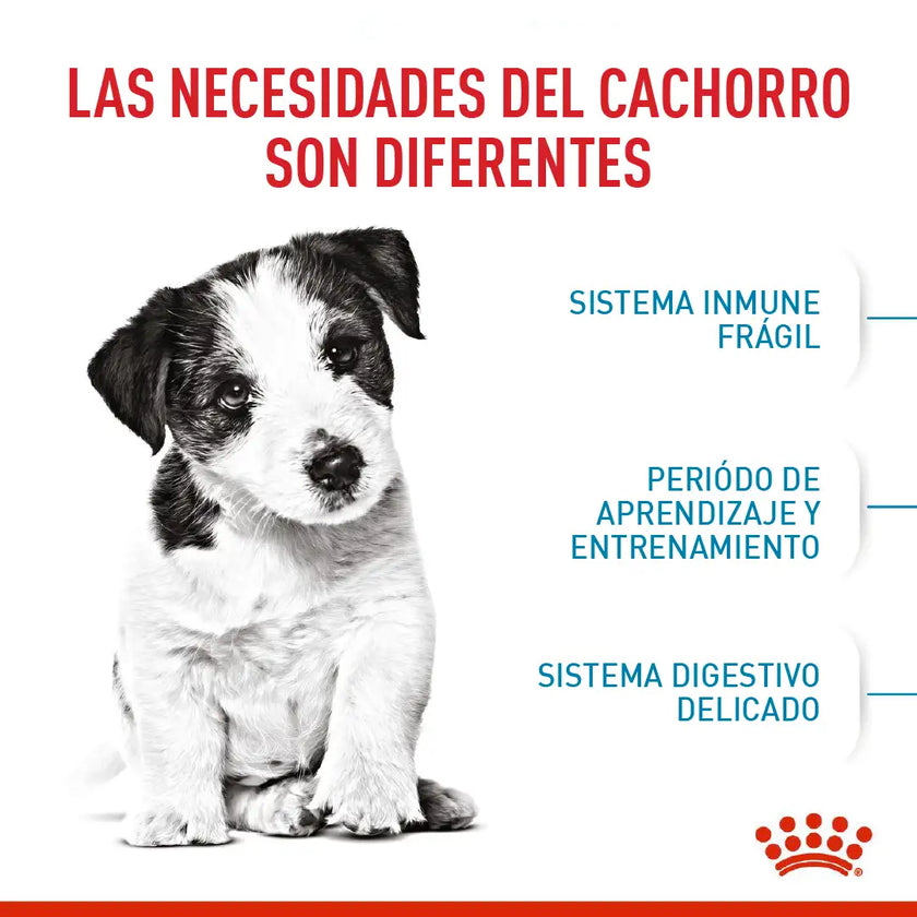 Alimento Royal Canin Shn Mini Puppy
